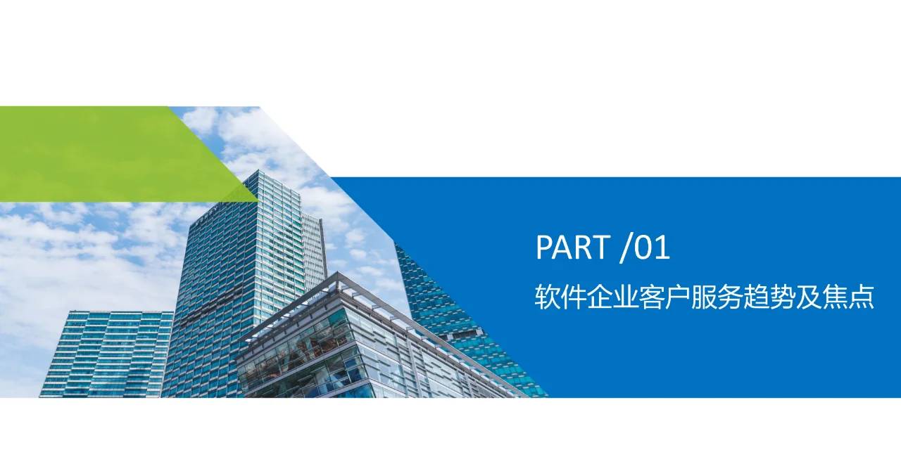 软件行业客户服务白皮书