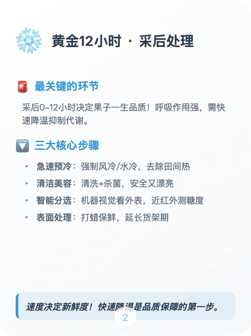 每天吃透一条供应链「核果类」?