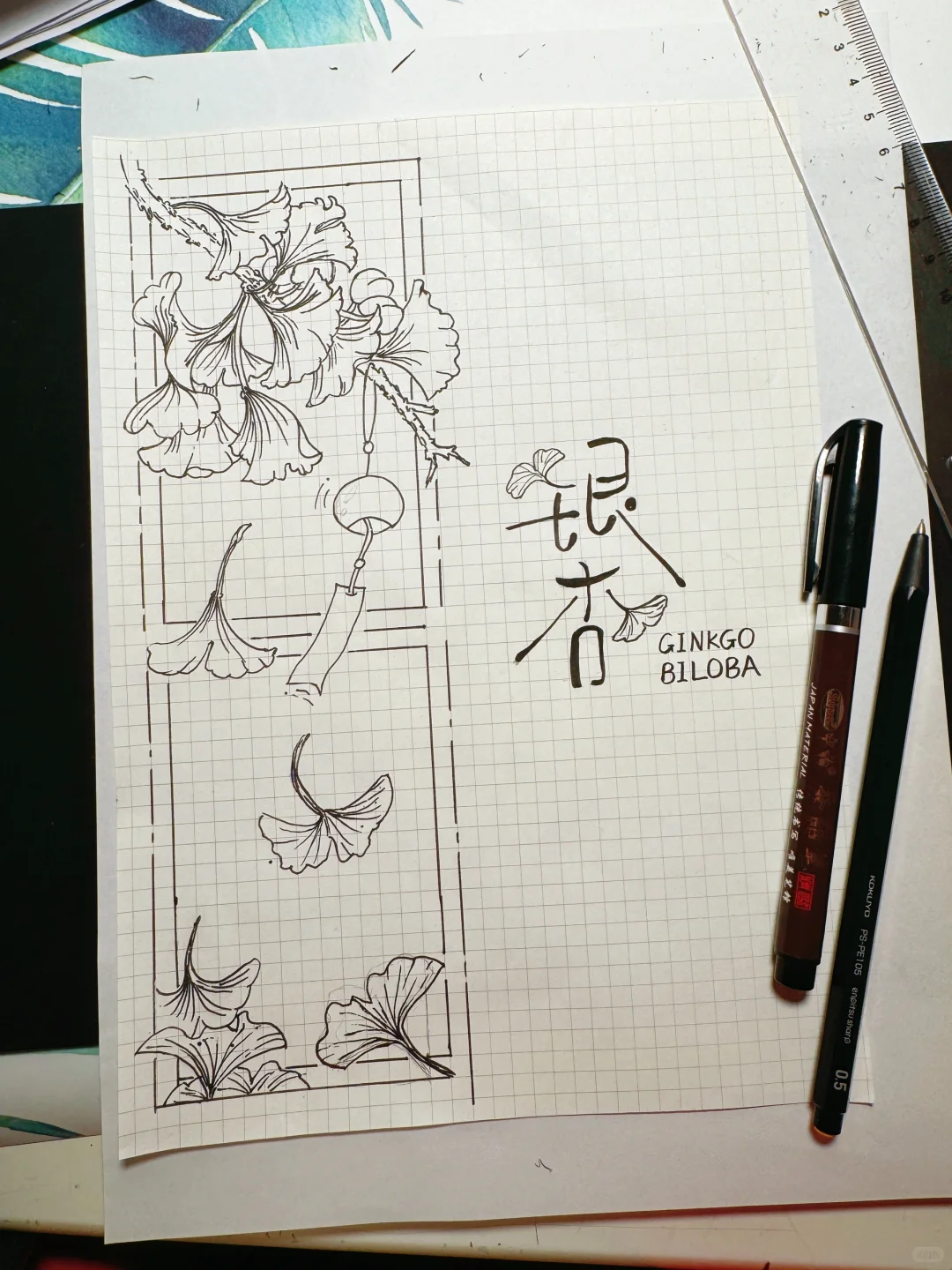 自然笔记观察手帐银杏小报秋日植物分镜画