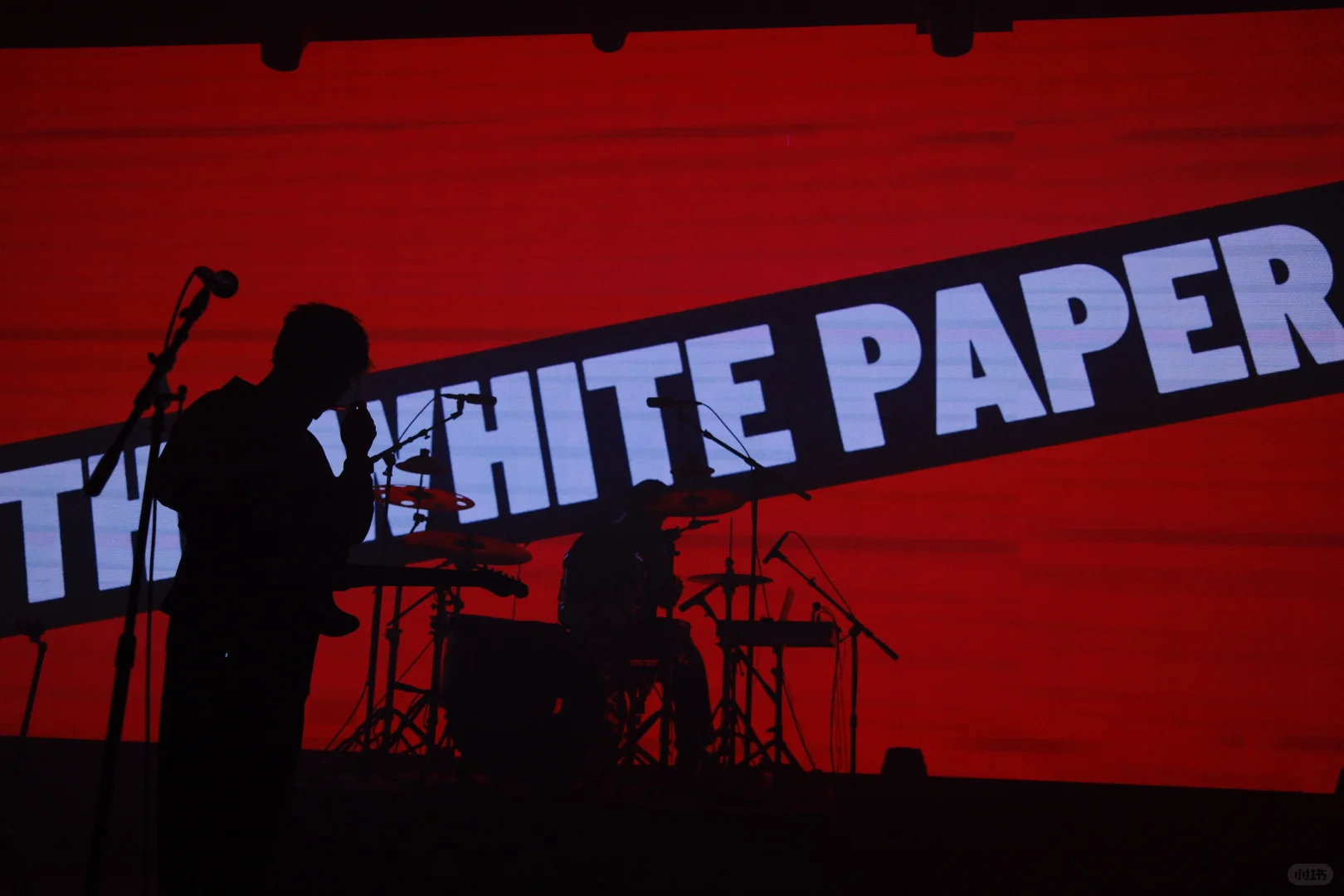 白皮书 上海live