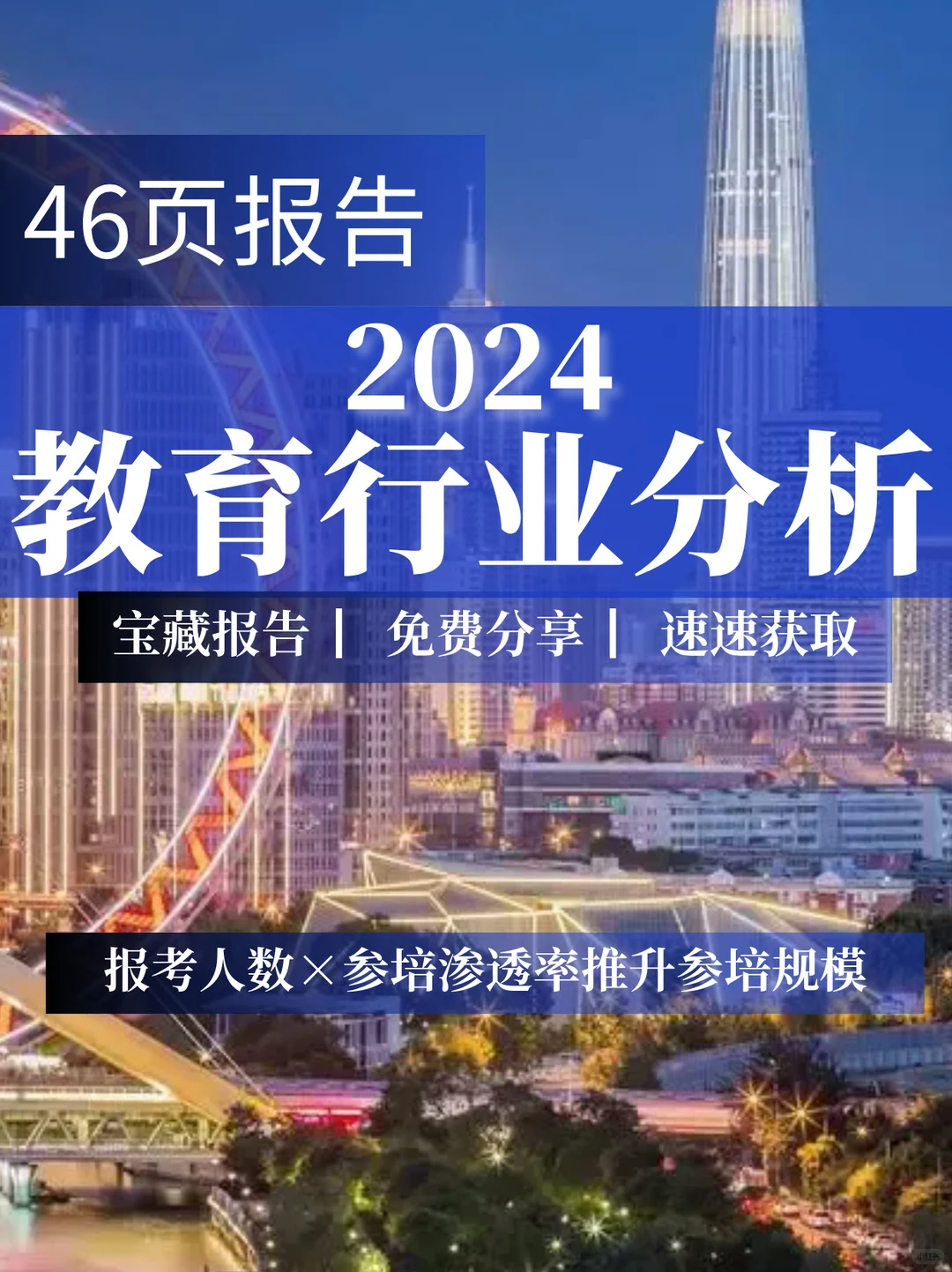 46页报告|2024教育行业分析