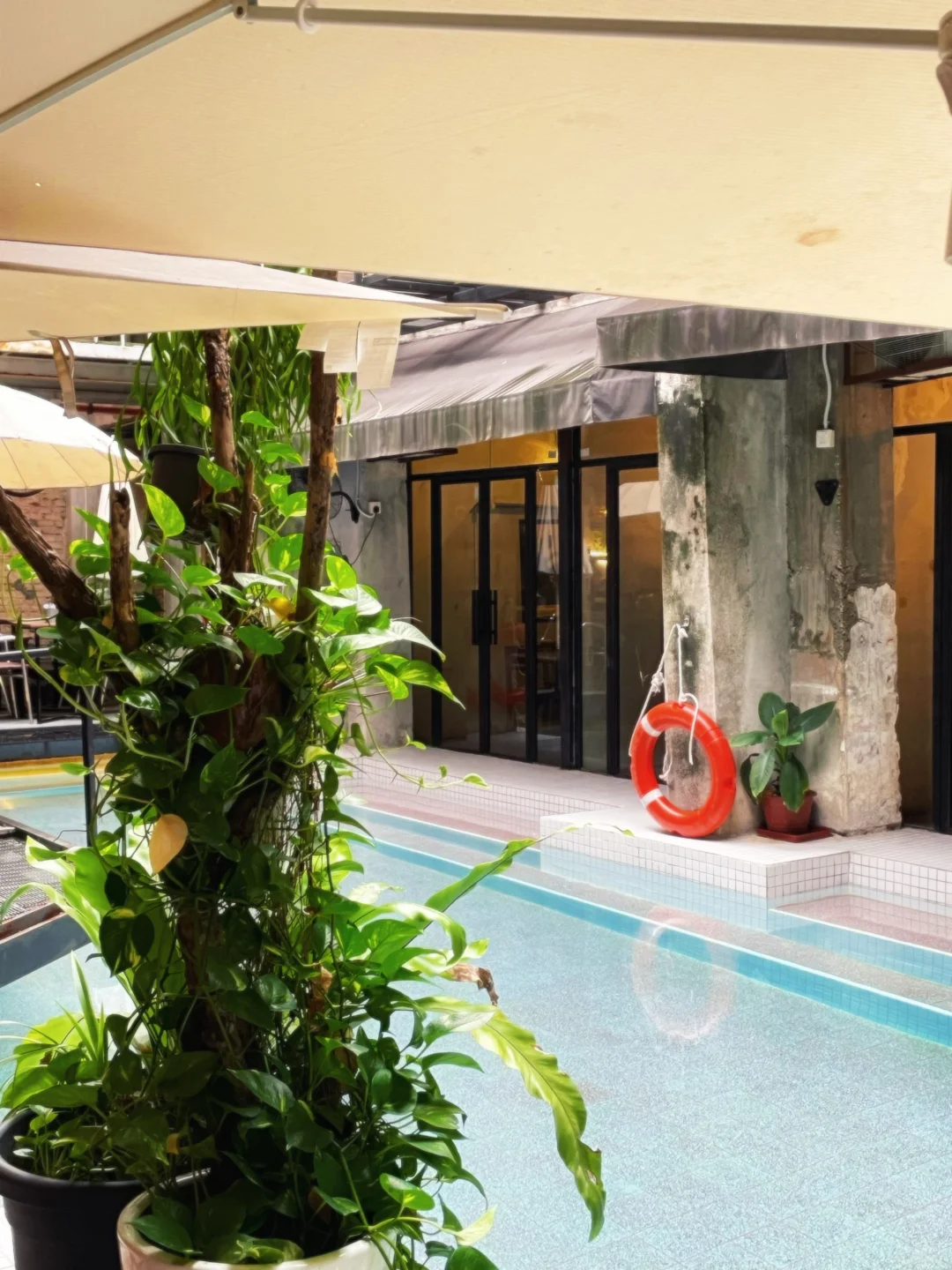 东南亚经济考察观点（基建、消费、行业趋势）