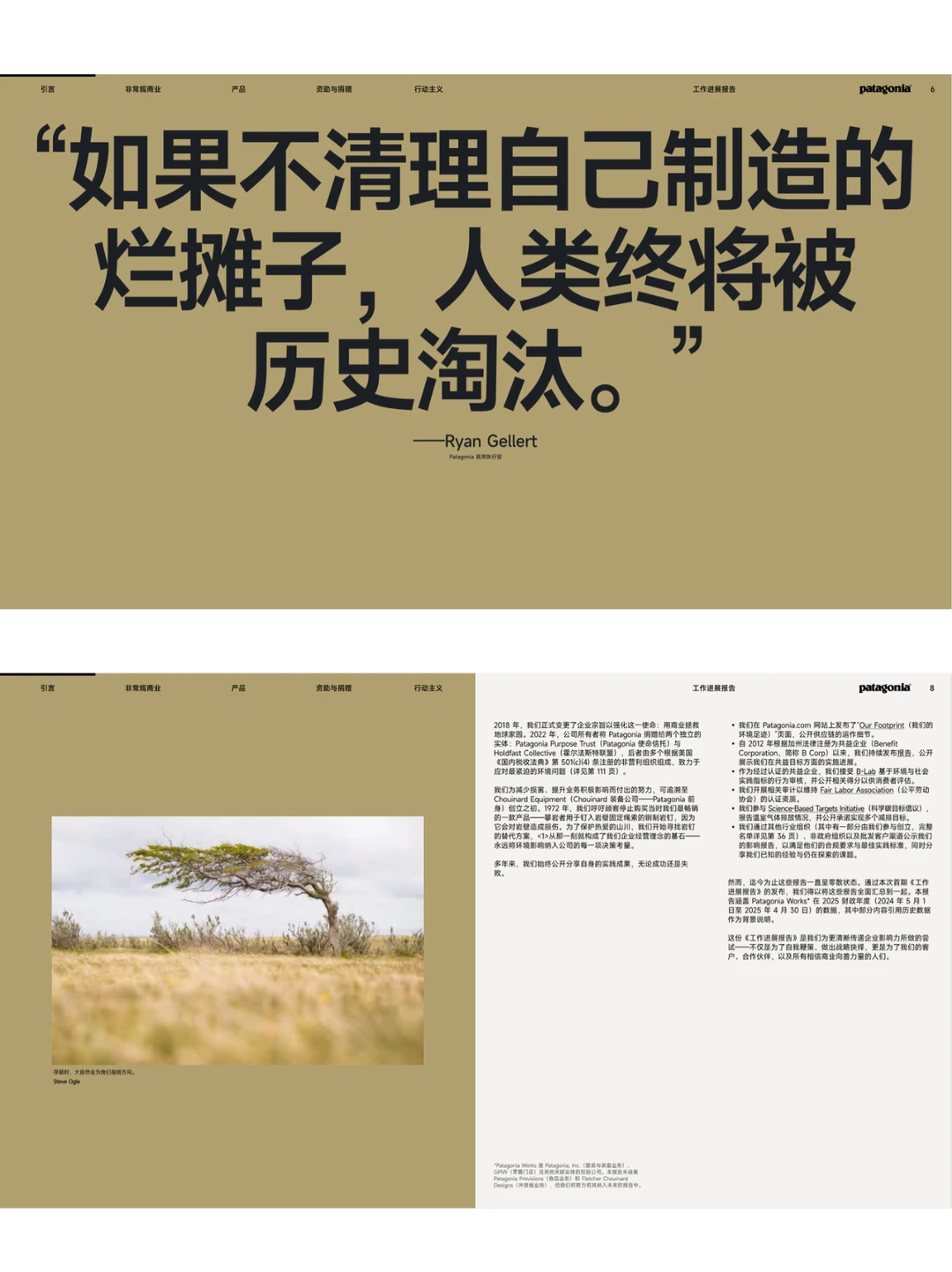 捐给地球3年Patagonia交出《给地球的报告》