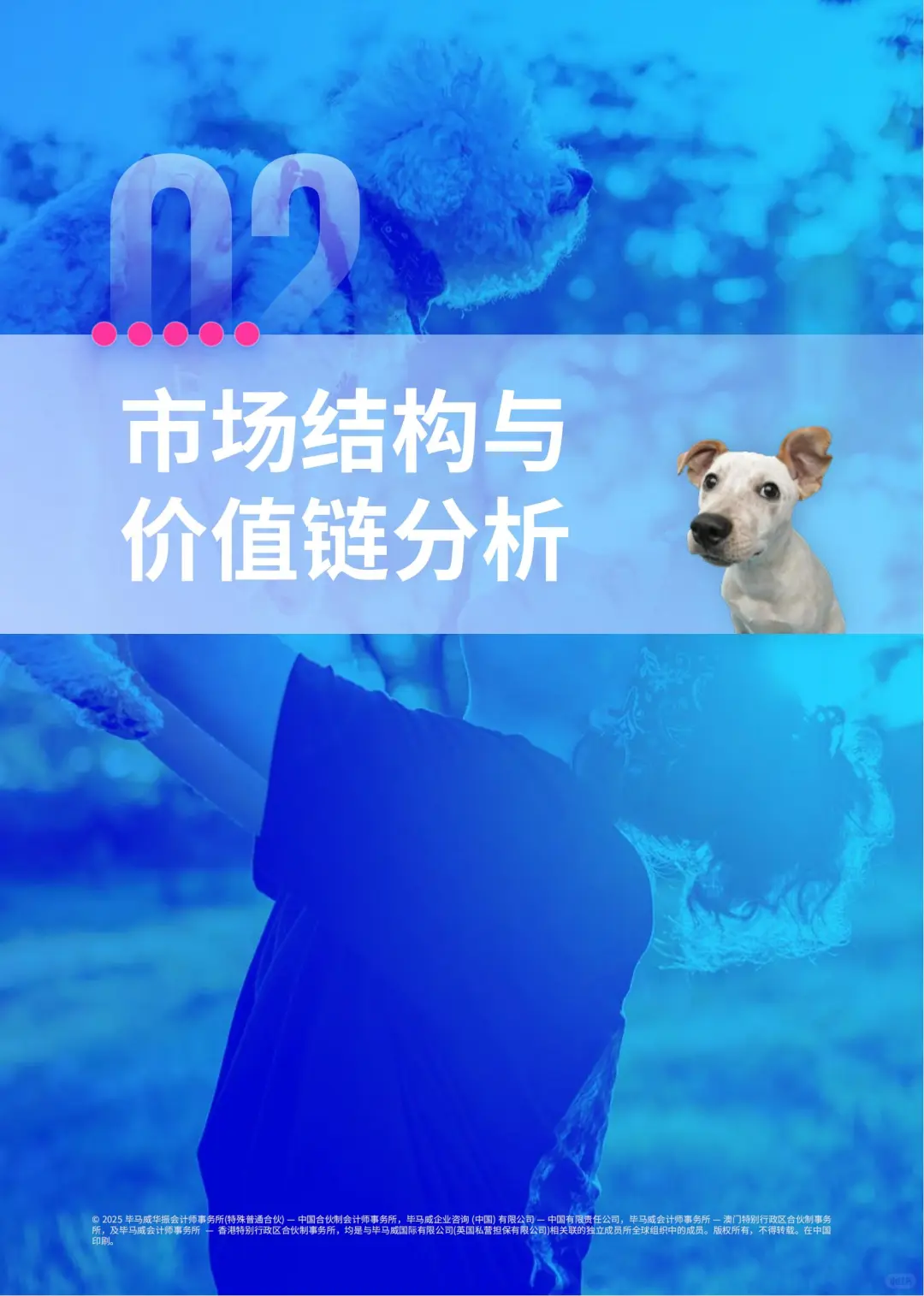 新消费-“它经济”的消费升级与市场洞察