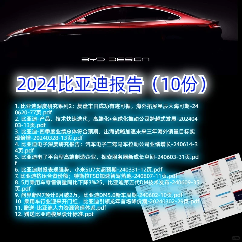 2024比亚迪汽车分析报告（10份）