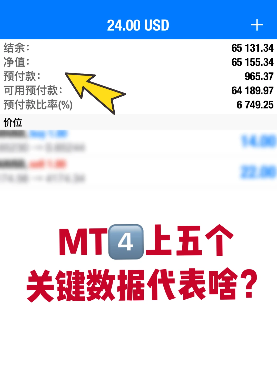 新手必看！MT④上5个关键数据代表什么❓
