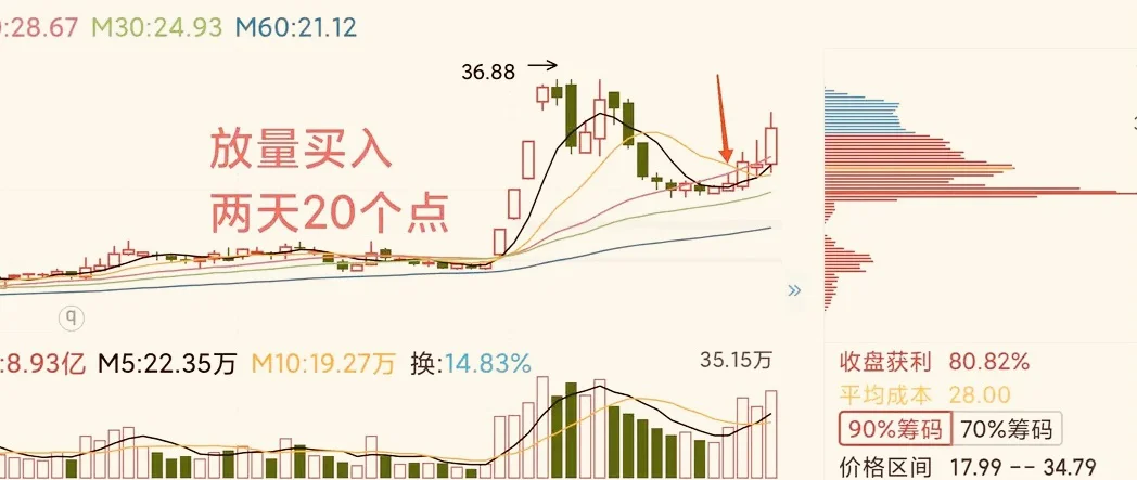 龙头股抢反弹,一月搞一次,简单高效!