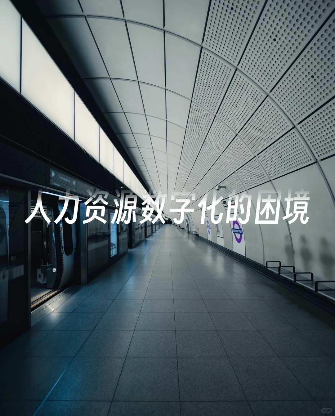 都知道数字化是趋势，但就是落地不了