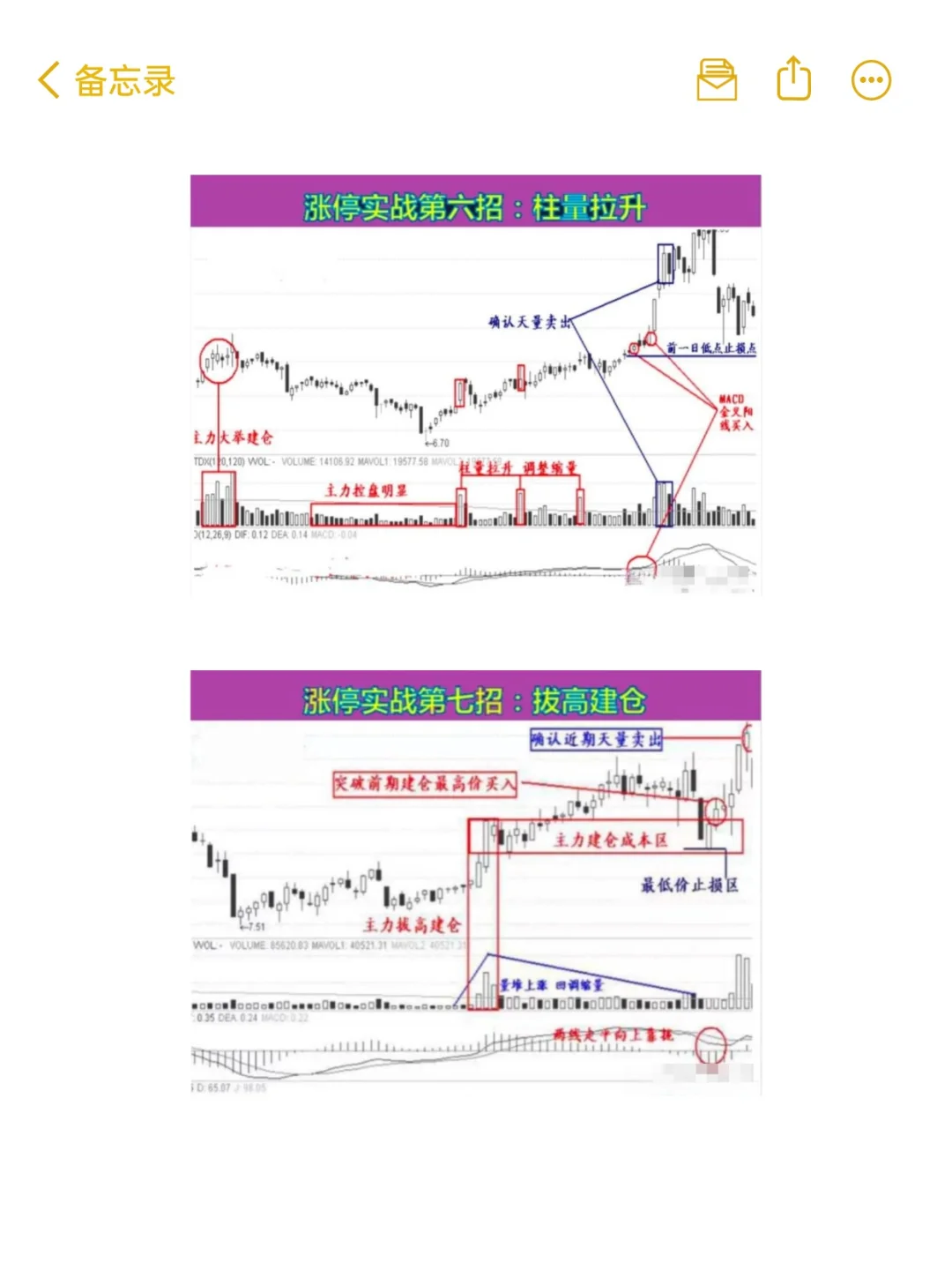 用最笨最简单的炒股方法，只买一种股票