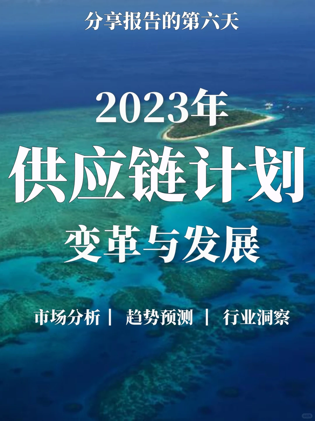2023年供应链计划变革与发展