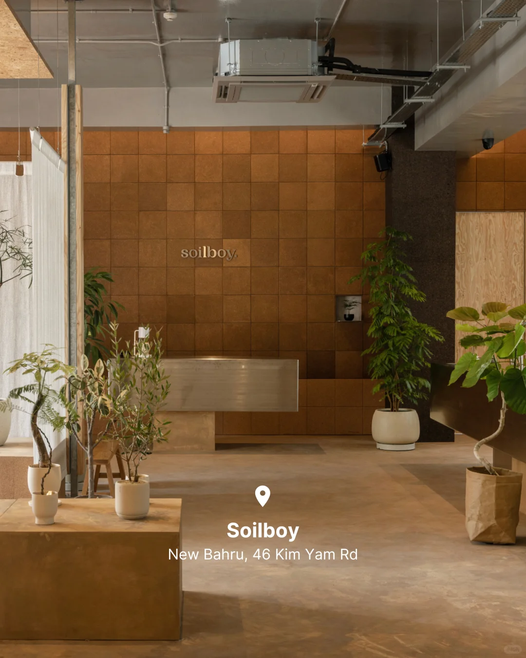 ?? 城市漫步 · 艺术生活