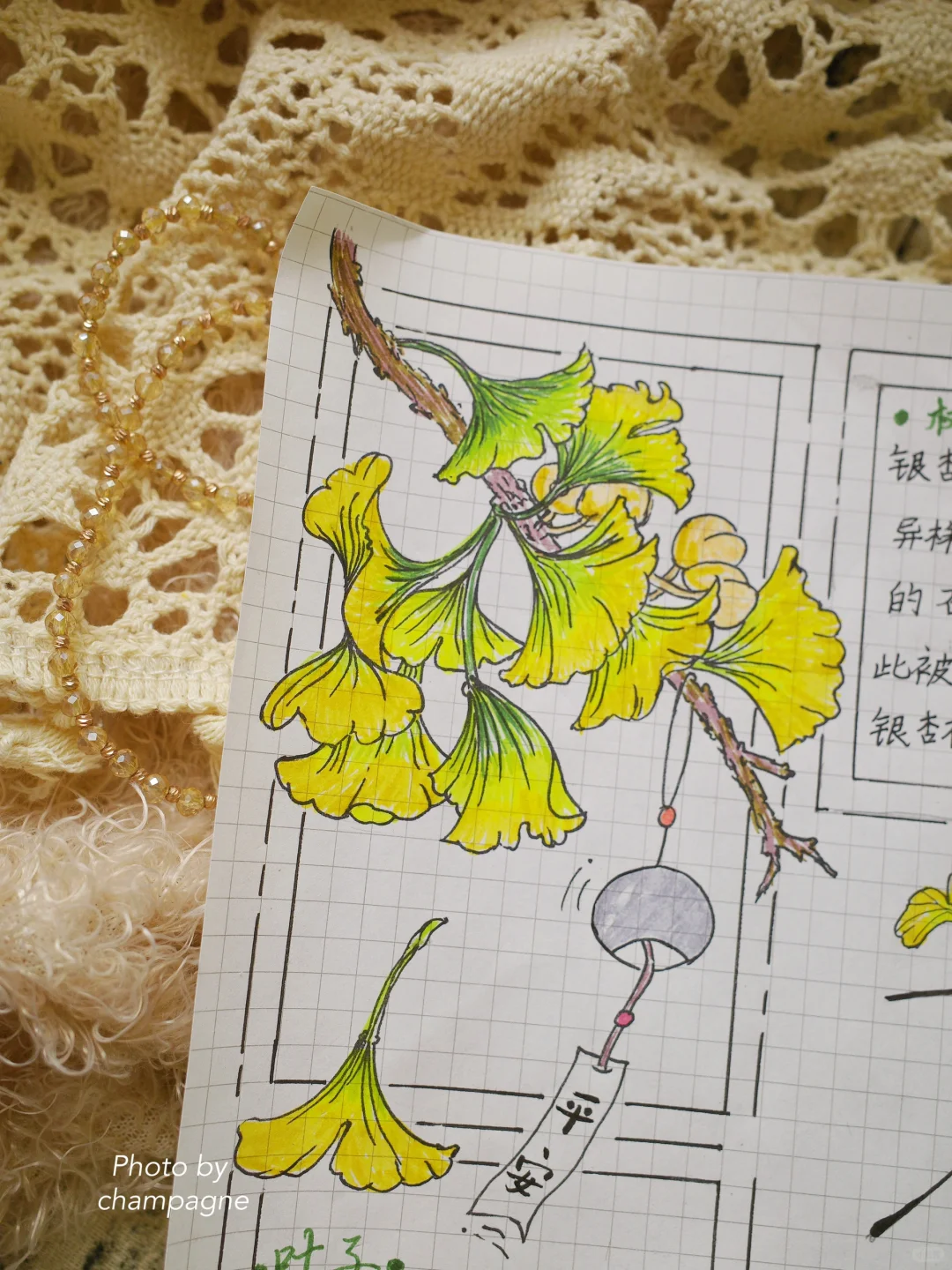 自然笔记观察手帐银杏小报秋日植物分镜画