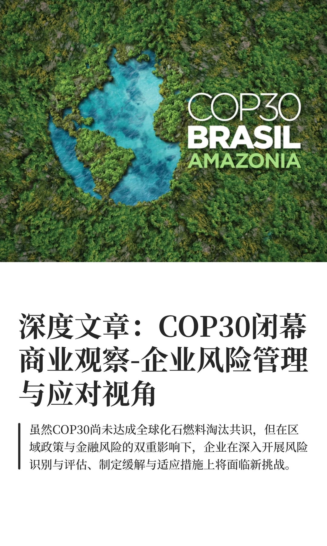 深度文章：COP30商业观察-企业风险管理视角