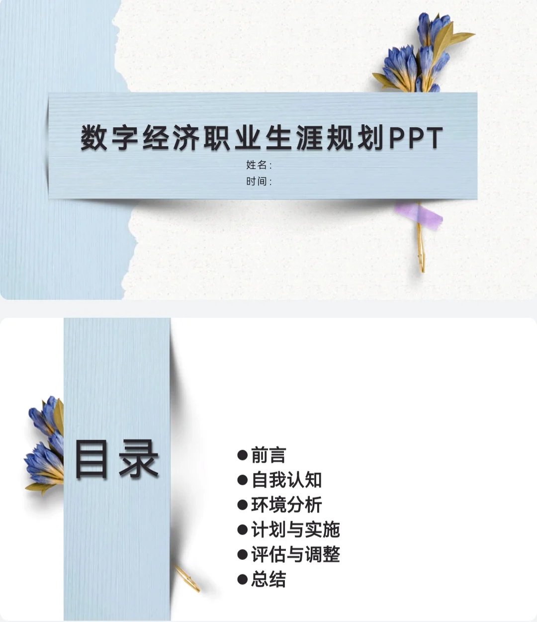 数学经济职业生涯规划书PPT