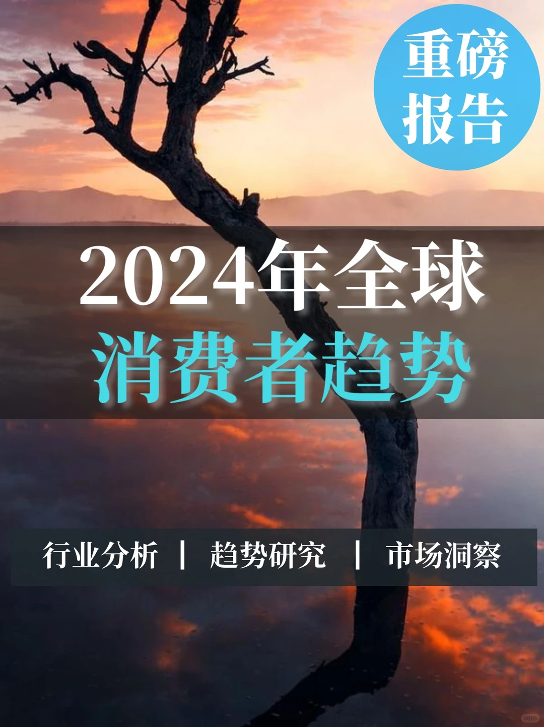 重磅报告▏2024年全球消费者趋势