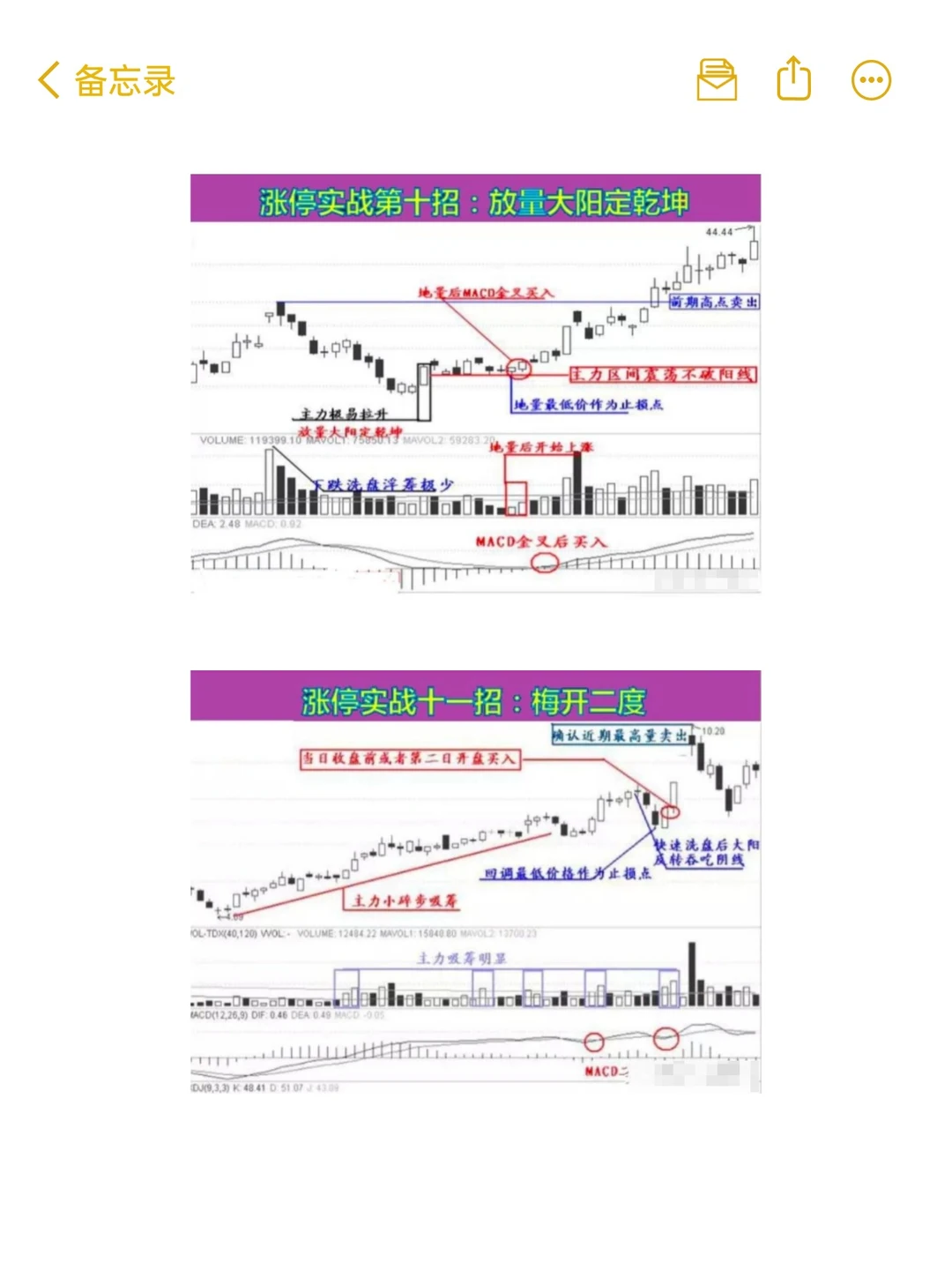 用最笨最简单的炒股方法，只买一种股票