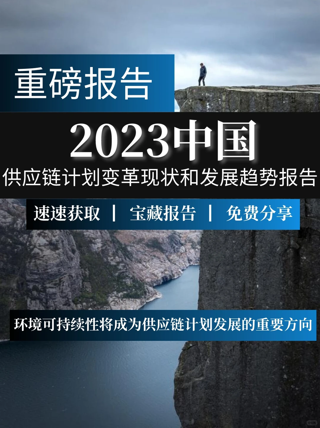 一文读懂供应链计划变革现状和发展趋势报告