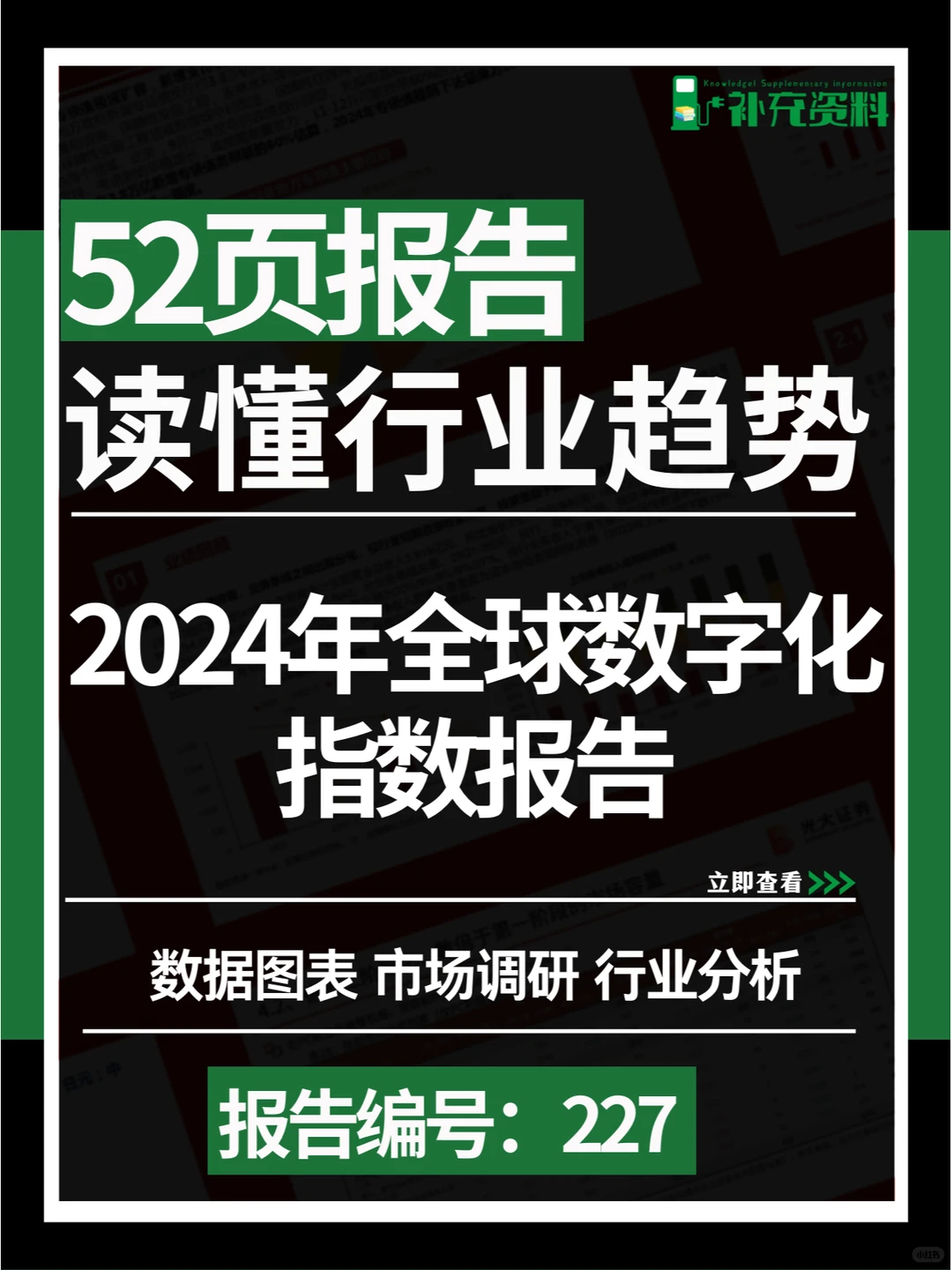 ?2024年全球数字化指数报告
