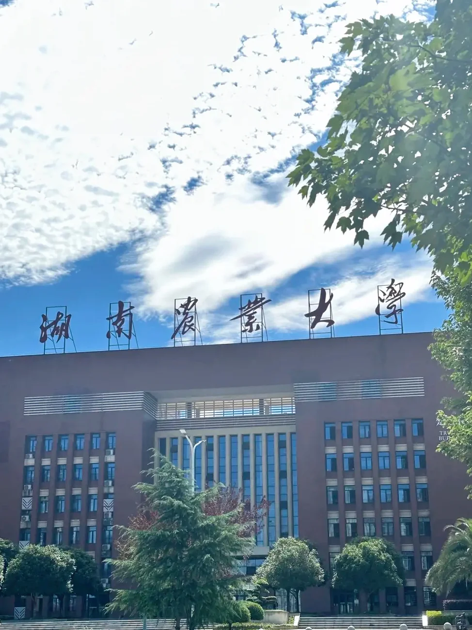湖南农业大学今年是疯了？？？