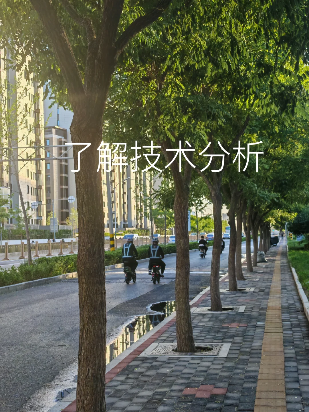 （5）初步了解技术分析