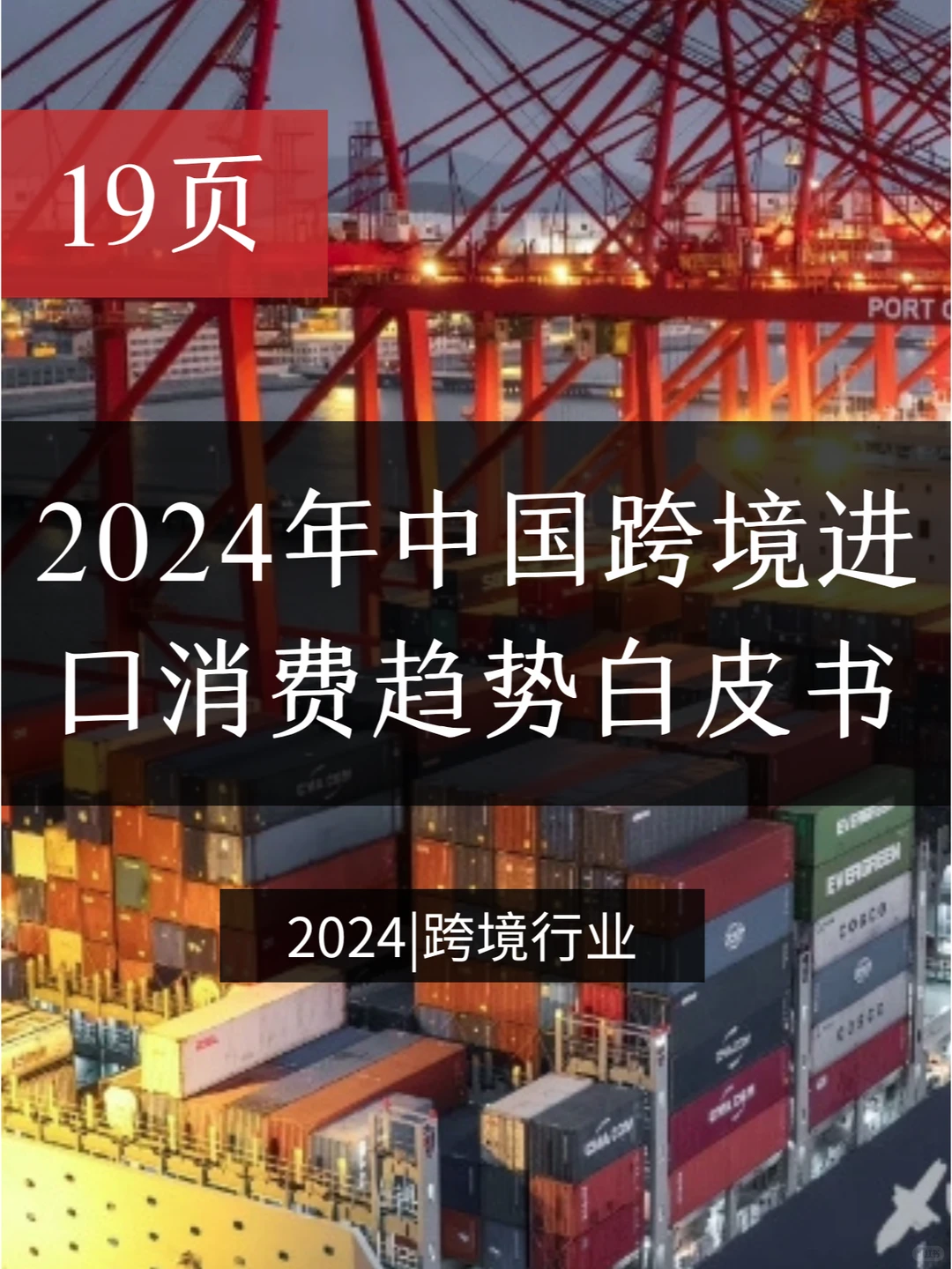 2024年中国跨境进口消费趋势白皮书
