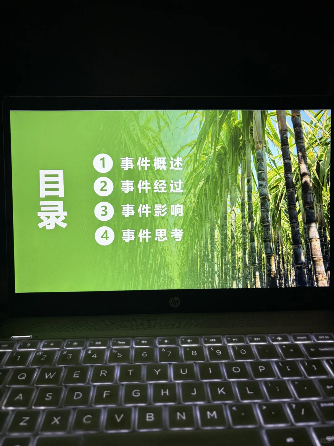可偷甘蔗地爆火事件ppt，时事热点