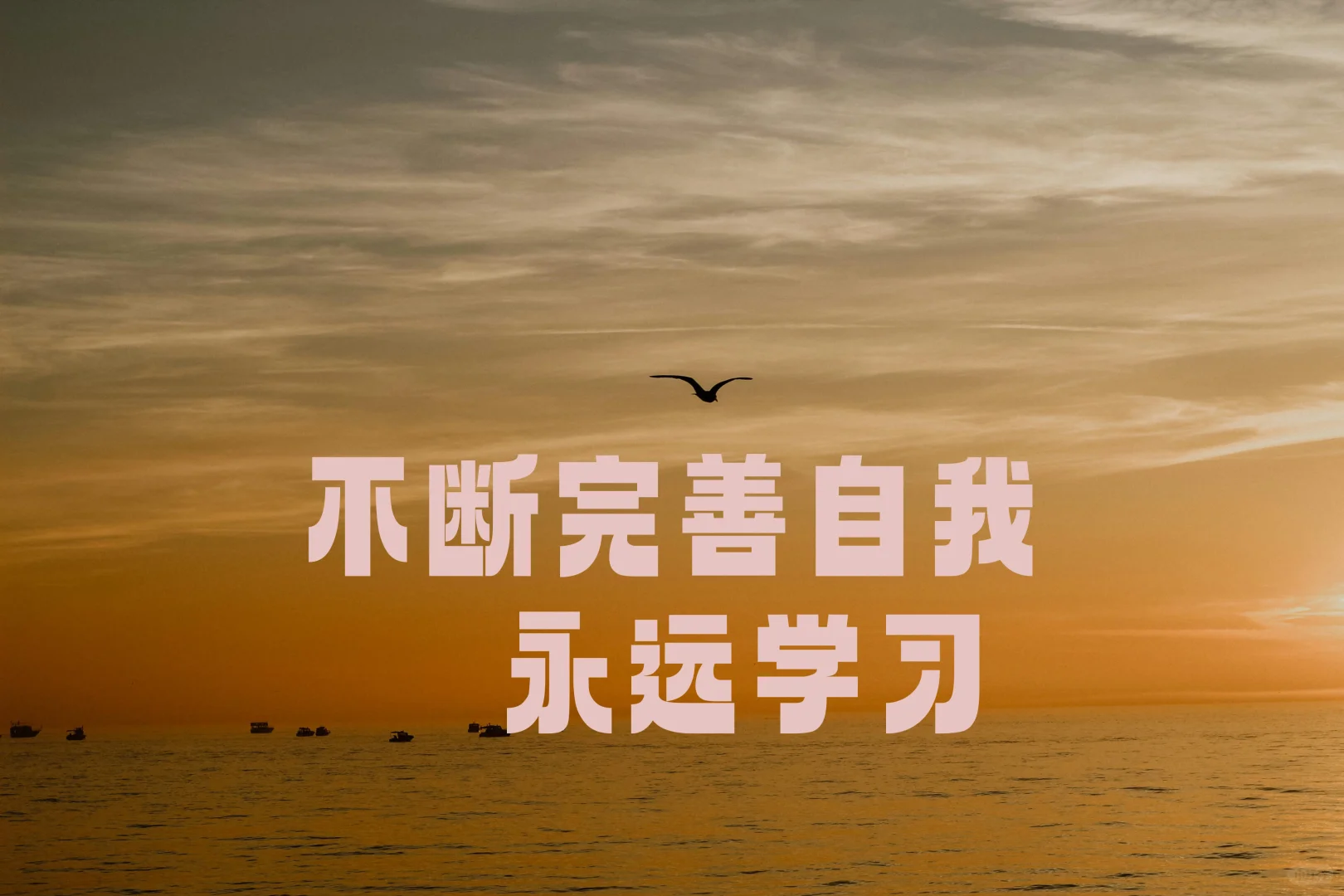 消费者在意：你是不是懂我 ?