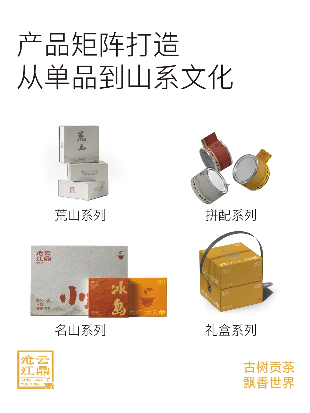 沧江云鼎品牌案例｜如何打造年轻化超级单品