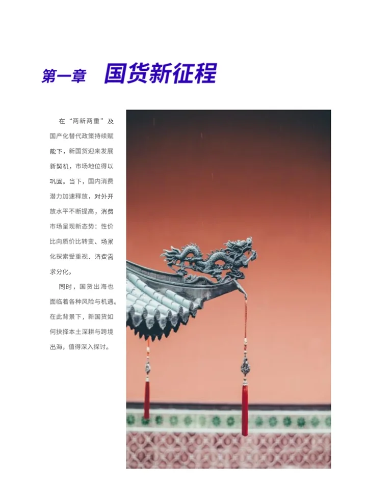 一份资料遍览2025新国货CoolTop100品牌
