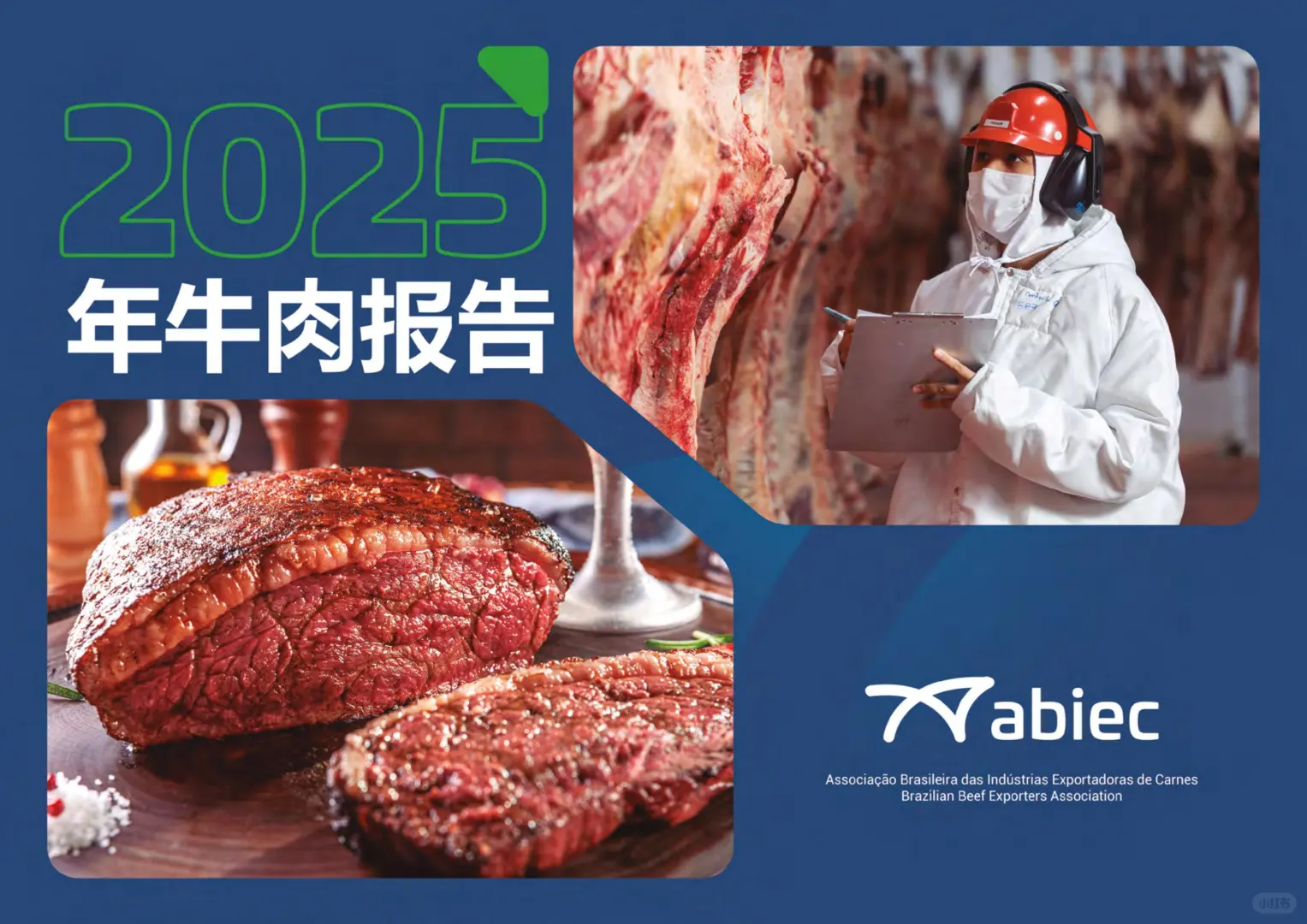 2025巴西牛肉总结报告