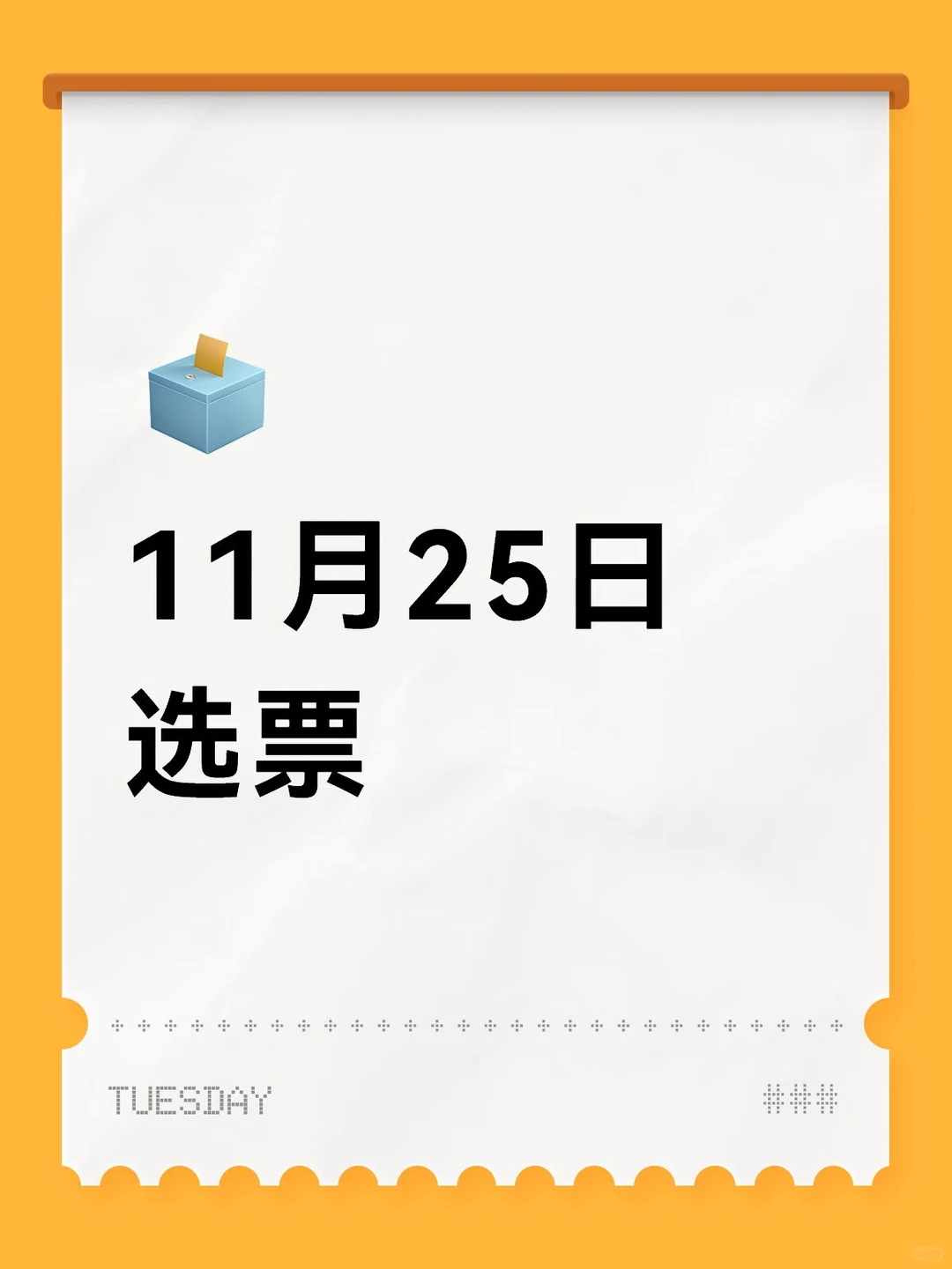 11月25日选票