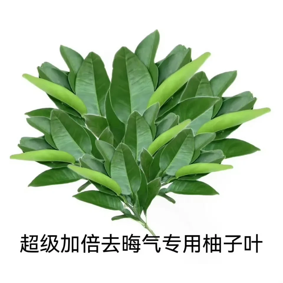 吃香香的饭！干sb的工作！！！【前景提要】
