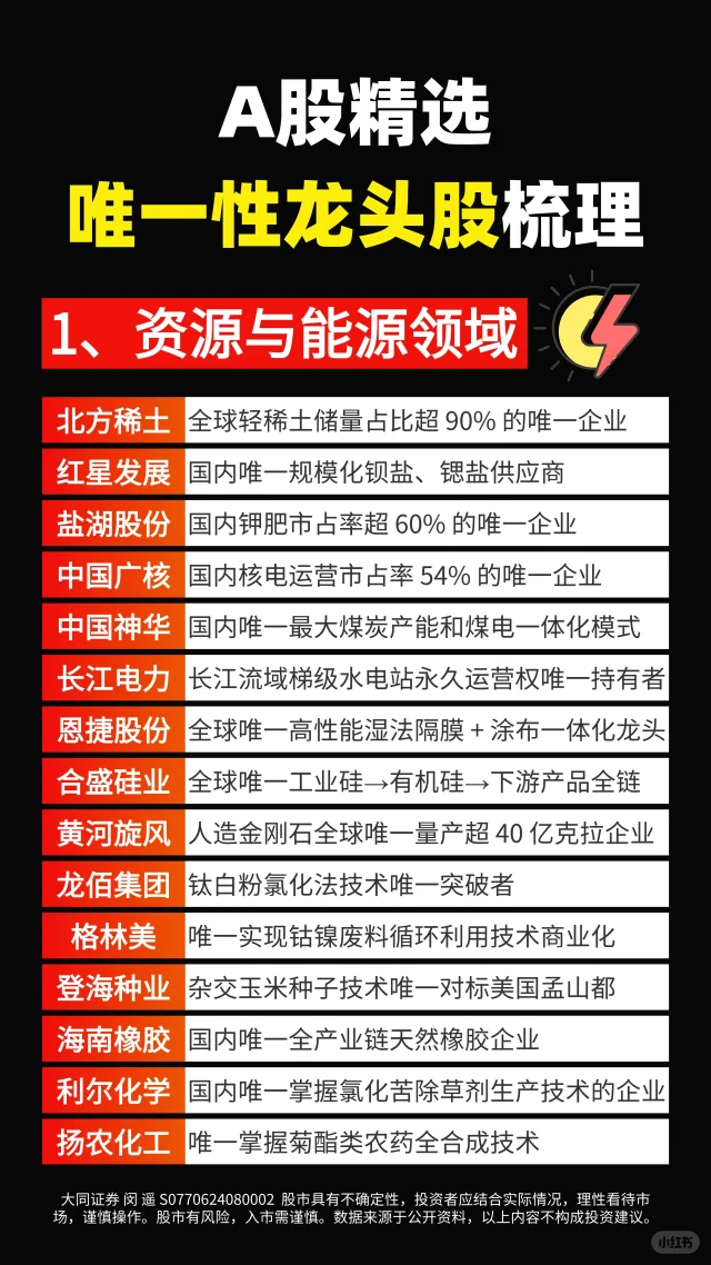 A股精选，各行业唯一性龙头股梳理