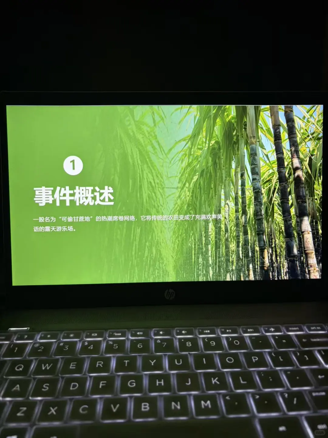 可偷甘蔗地爆火事件ppt，时事热点