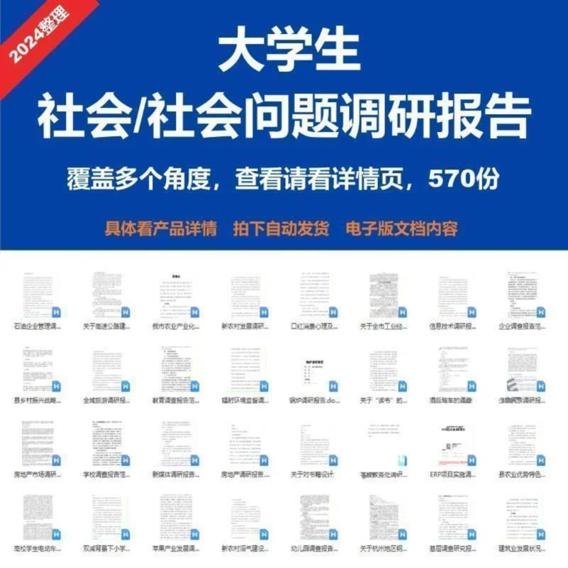 大学生社会实践行业调研报告范文模板