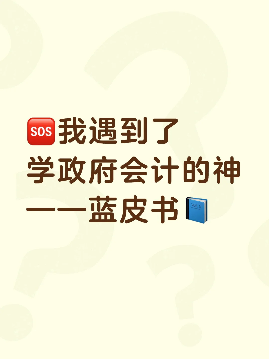 ?我遇到了学政府会计的神！——蓝皮书‼️