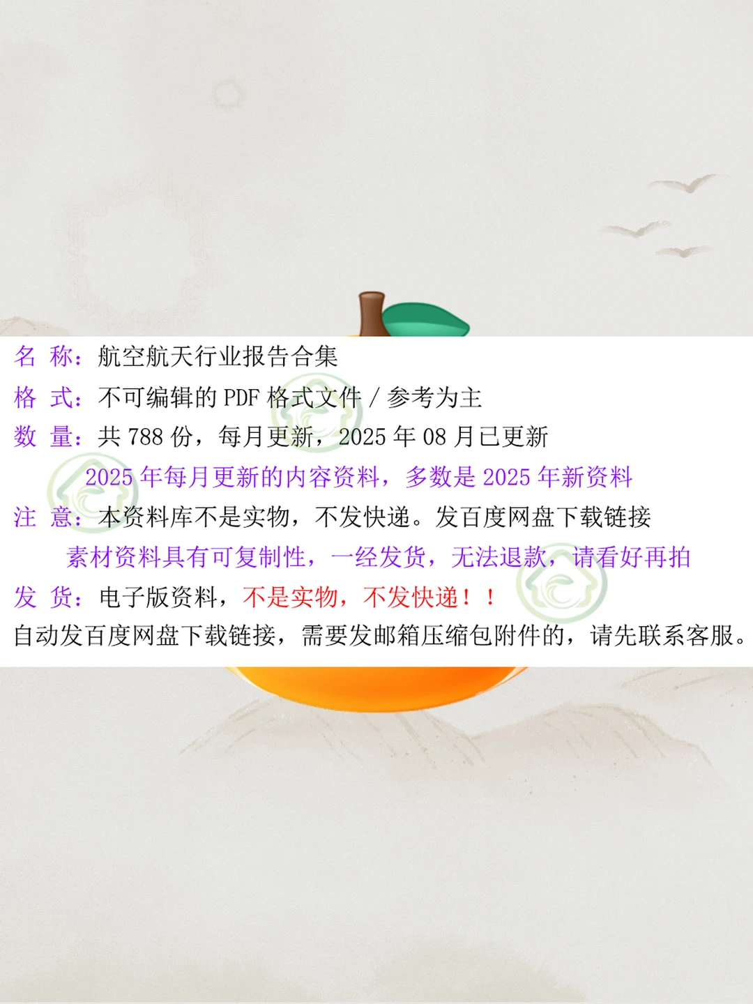 2025商业航天产业链研究报告白皮书发展