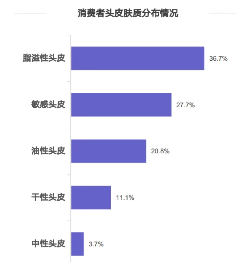 30页报告|2025头皮护理行业消费趋势报告