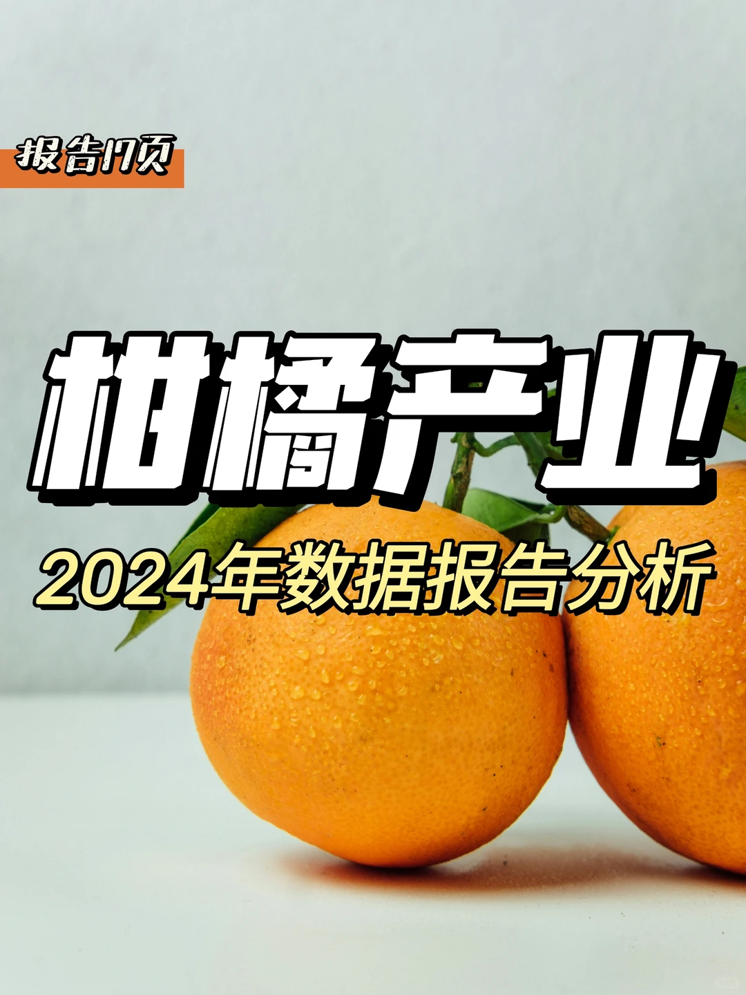 每日分享行业报告：2024年中国柑橘农业报告