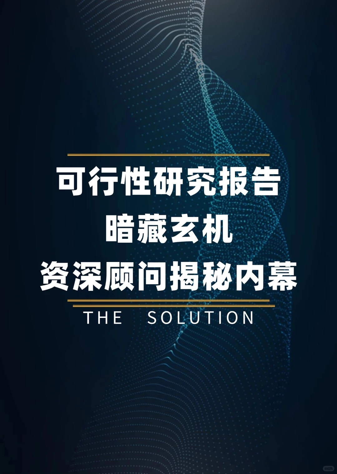 可行性研究报告暗藏玄机？资深顾问揭秘内幕