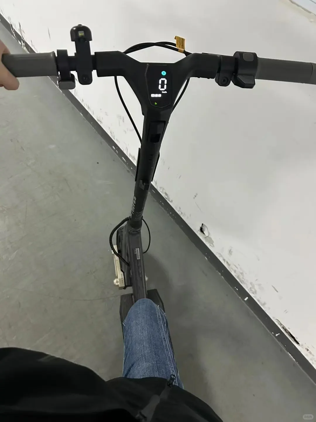 智领未来！品牌闪耀行业论坛