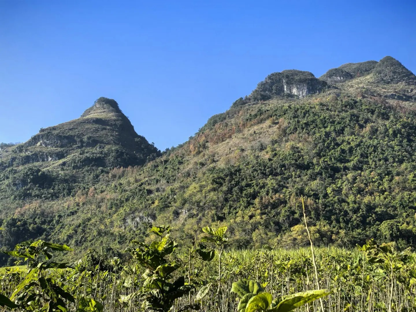 老股民私藏的翻倍炒股口诀
