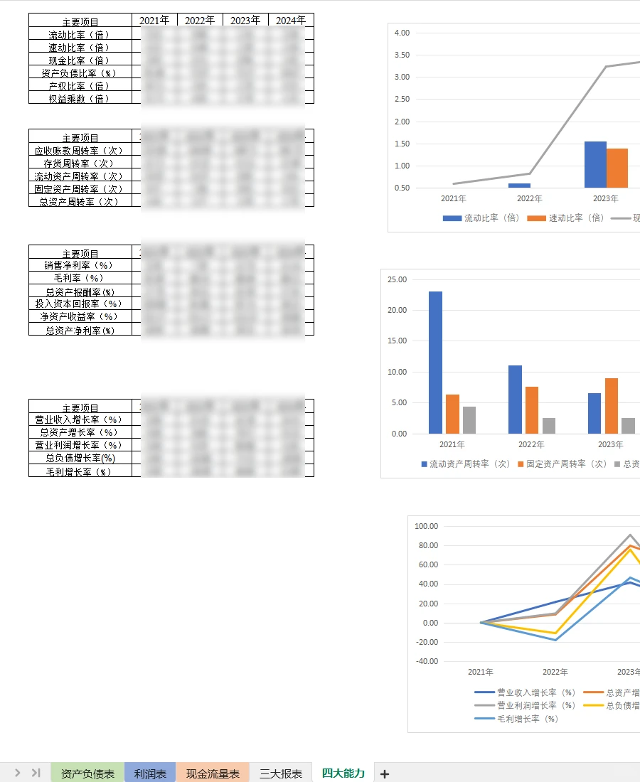 小菜园财务分析报告