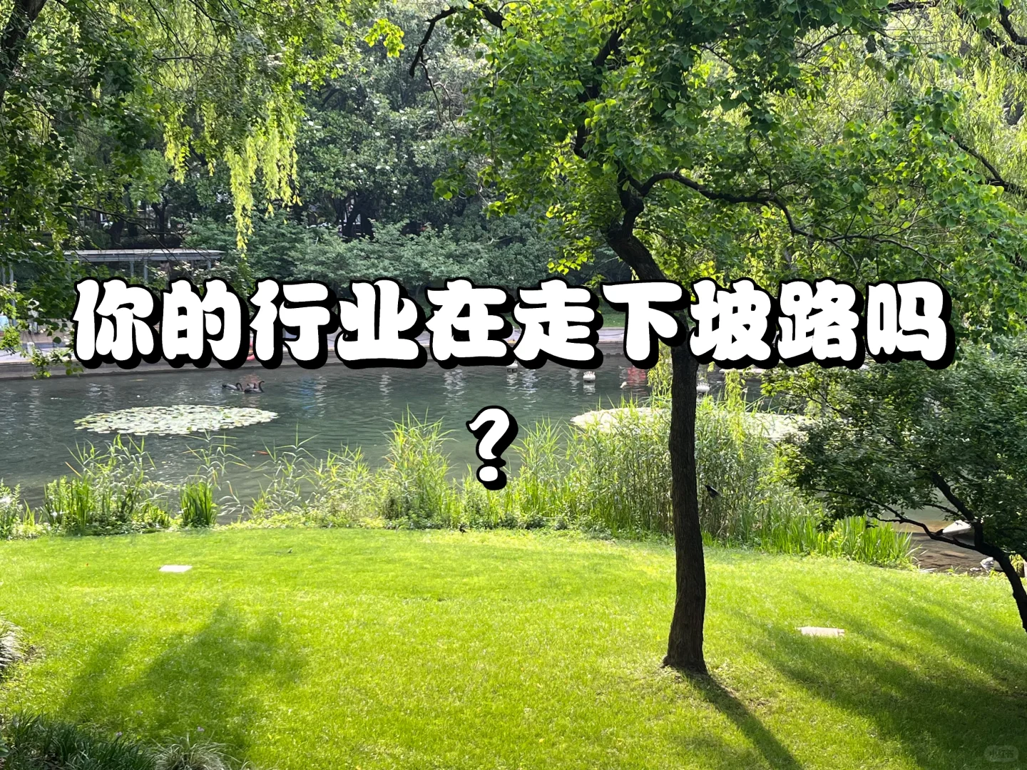 行业趋势判断和一些发散思考