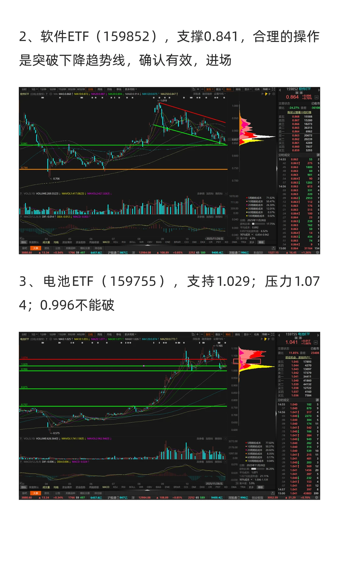 12月市场展望（2025年）