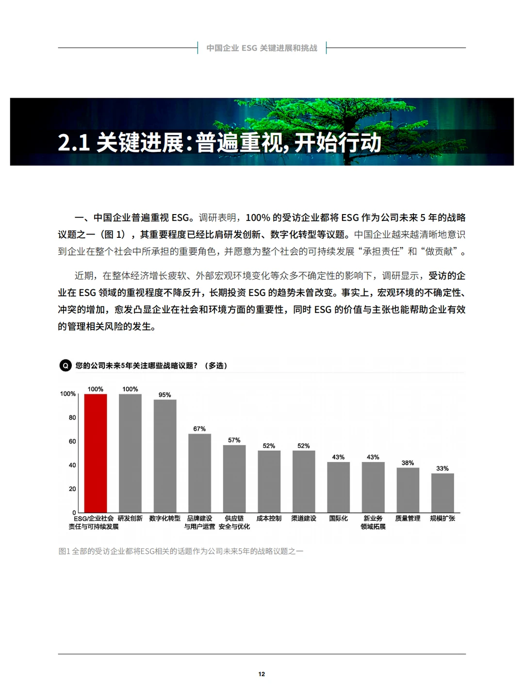 中国企业ESG战略与实践白皮书