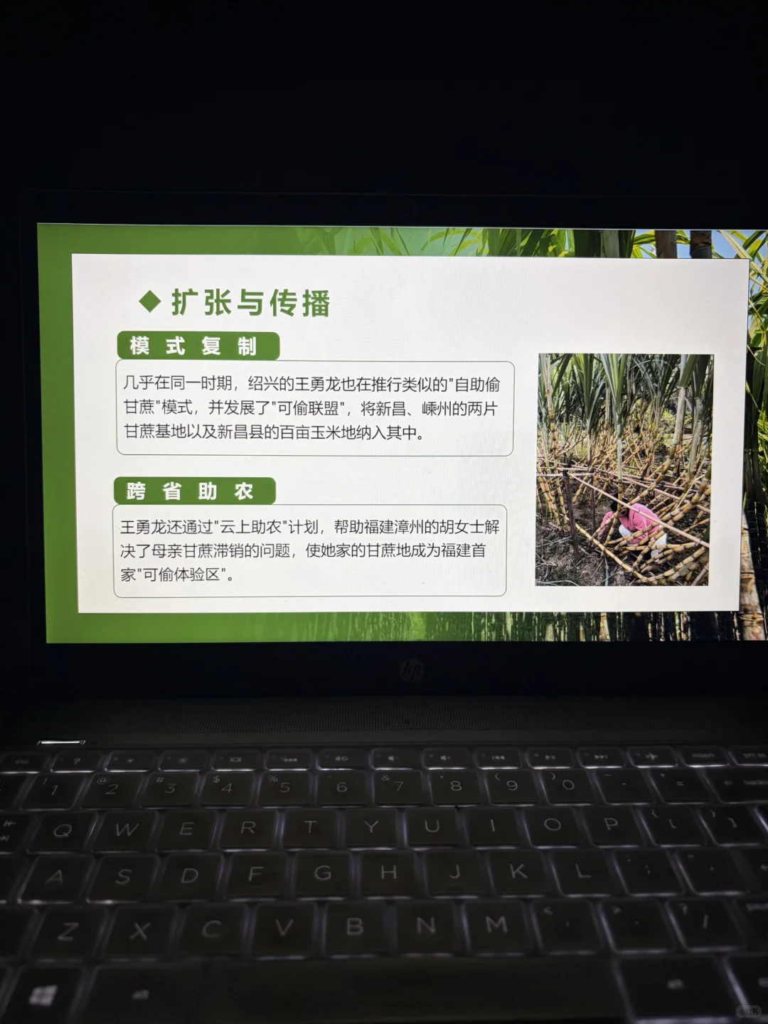 可偷甘蔗地爆火事件ppt，时事热点