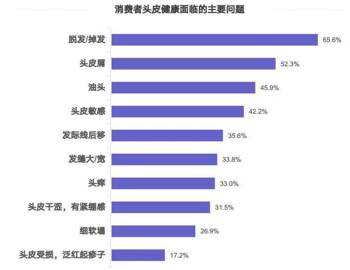 30页报告|2025头皮护理行业消费趋势报告