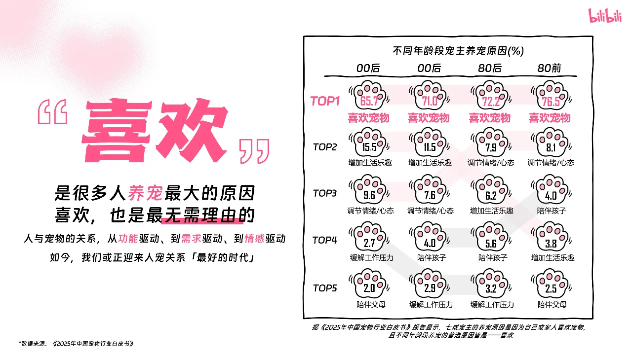 行业报告|2025哔哩哔哩宠物行业营销通案