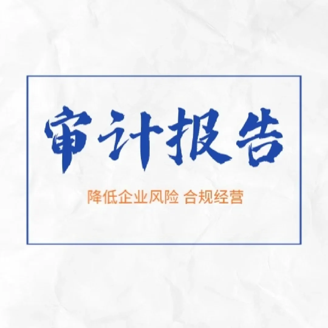 出具各类审计报告